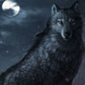 Meet your Posher, Addison